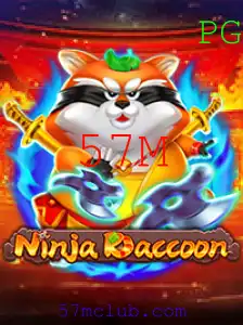 NinjaRaccoon: A Aventura dos Guaxinins Espiões no Mundo Digital de 57 Milhões de Abordagens